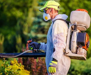 Servicios de Fumigación