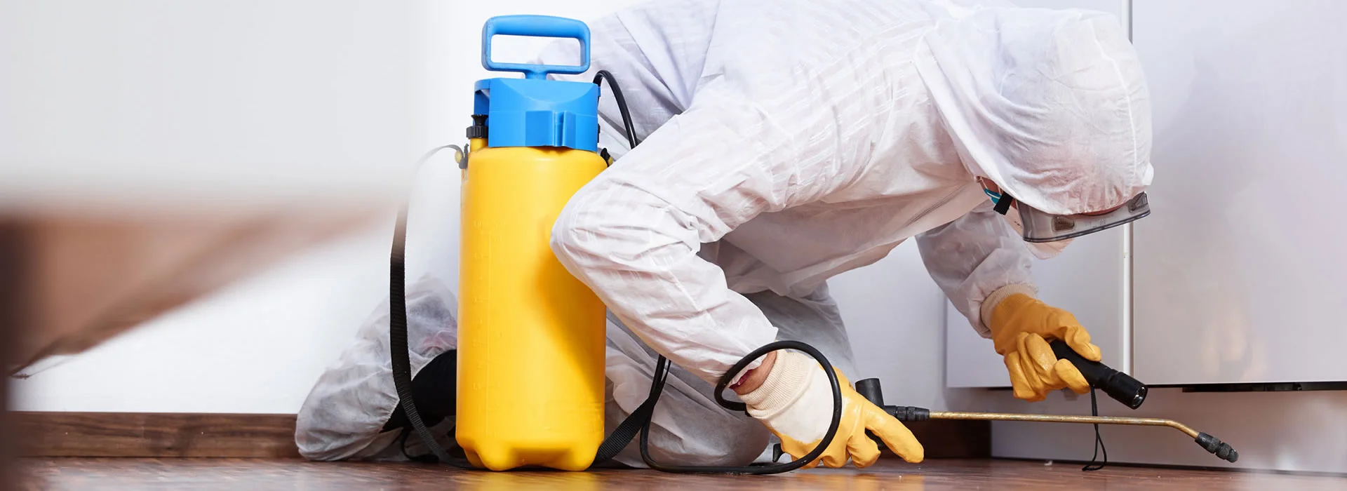 Desinfectar | Control de Plagas